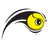 The Eye Coach logo